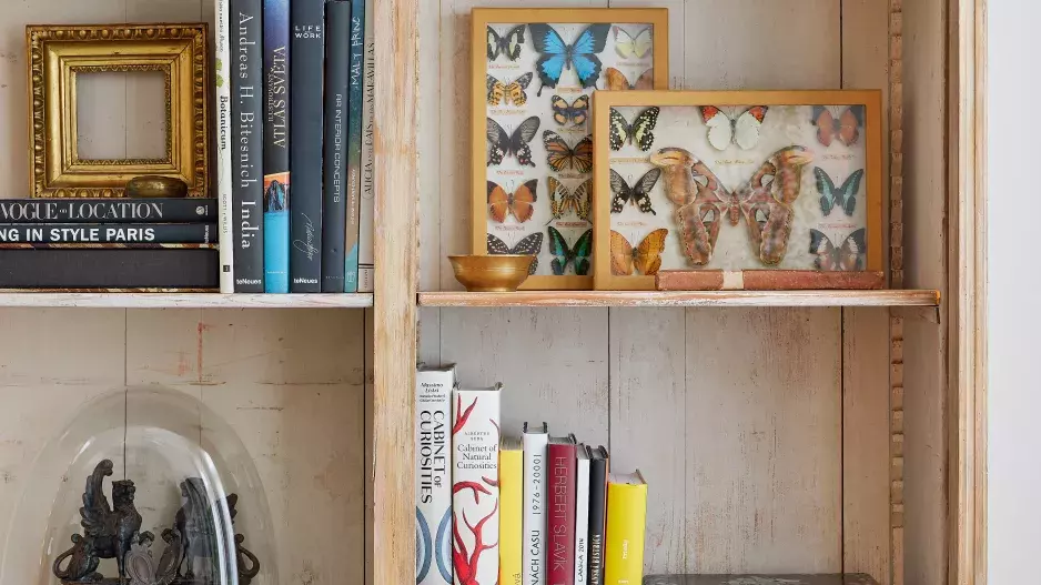 Království světla Království světla