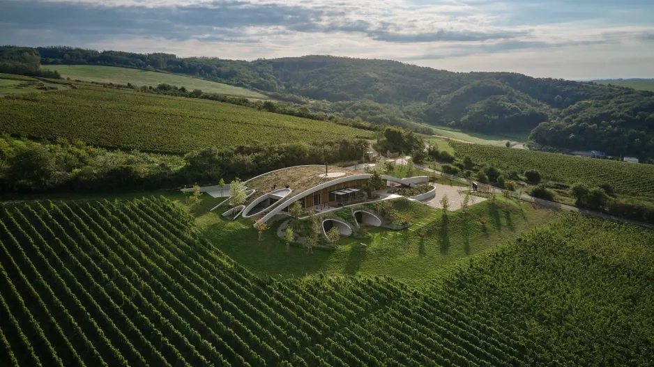 Gurdau vinařství Gurdau vinařství