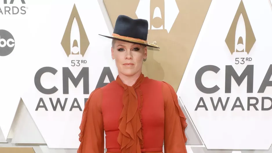 Zpěvačka Pink Zpěvačka Pink