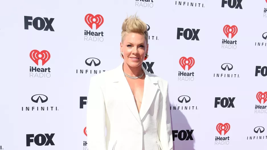 Zpěvačka Pink Zpěvačka Pink