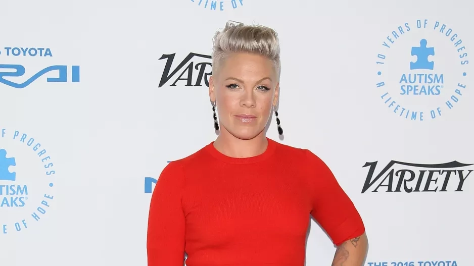 Zpěvačka Pink Zpěvačka Pink