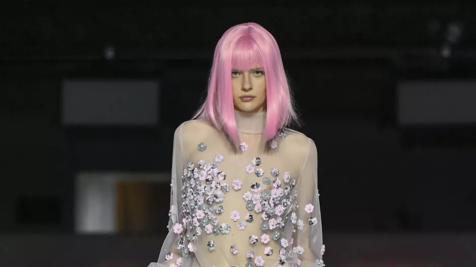 Vanda Janda Vanda Janda