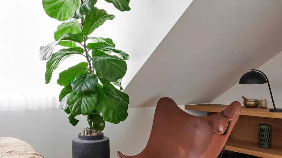 Byt na Malé Straně Byt na Malé Straně