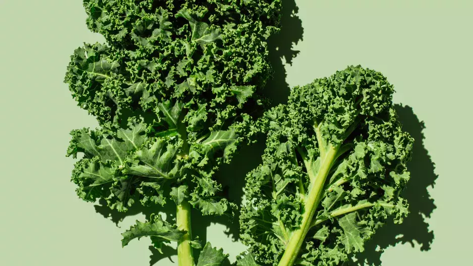 Kadeřávek Kadeřávek