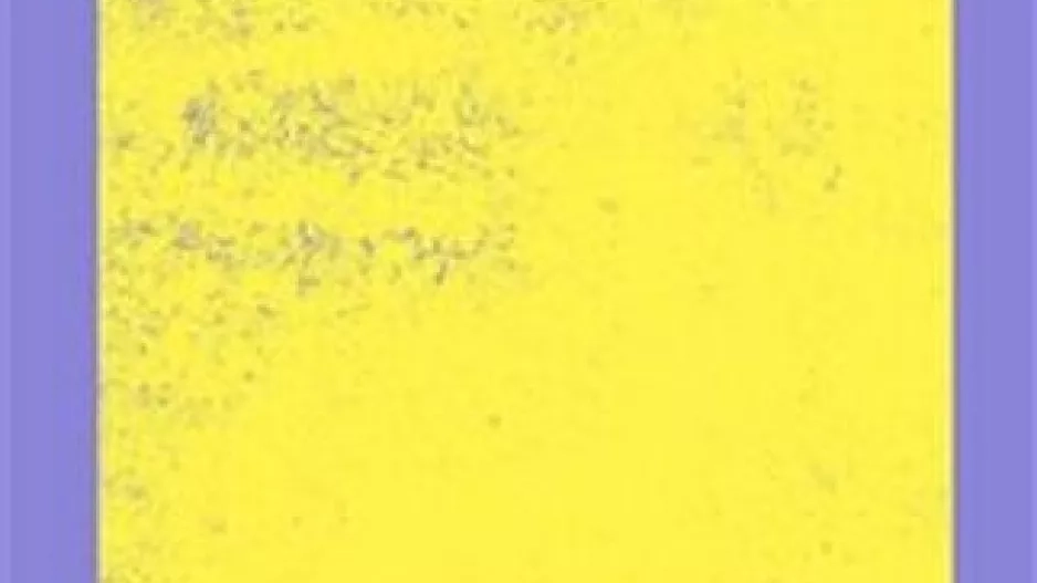 Mateřství Mateřství