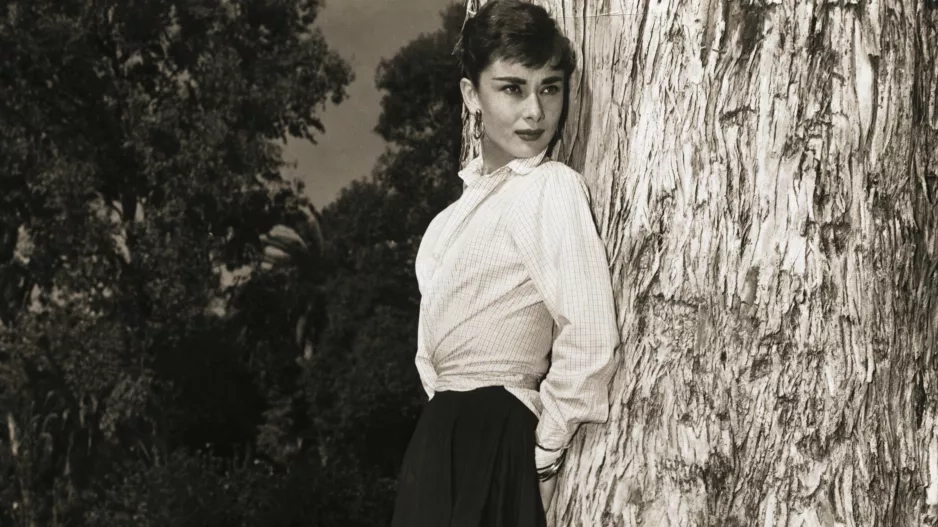 Venus dressing Venus dressing