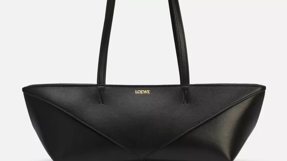 Loewe Loewe