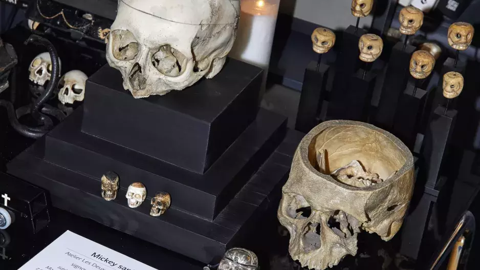 Láska na první pohled Láska na první pohled