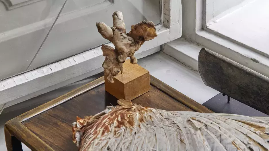 Láska na první pohled Láska na první pohled