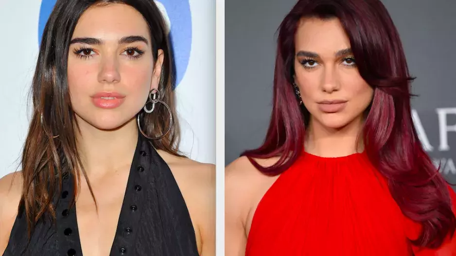 Plastiky celebrit Plastiky celebrit