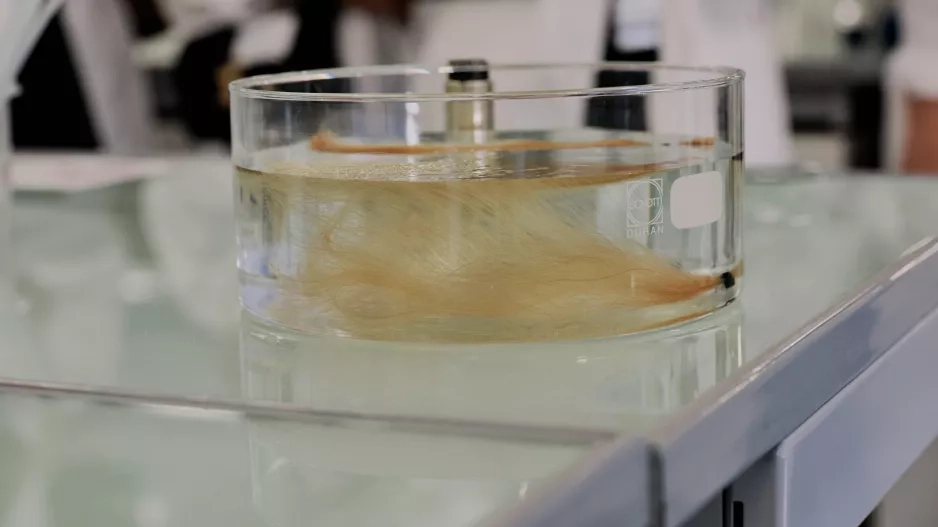 Summit 2024 Summit 2024