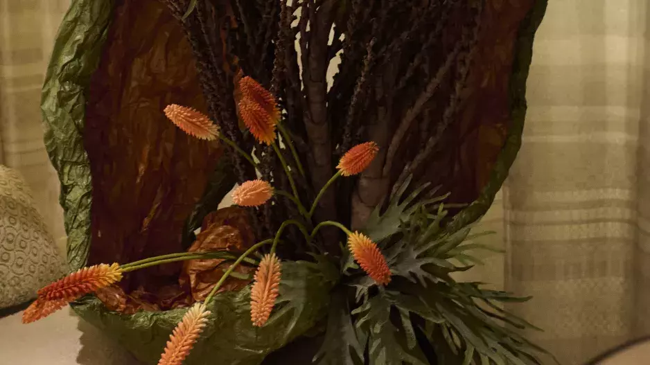 EDIDA 2025 EDIDA 2025